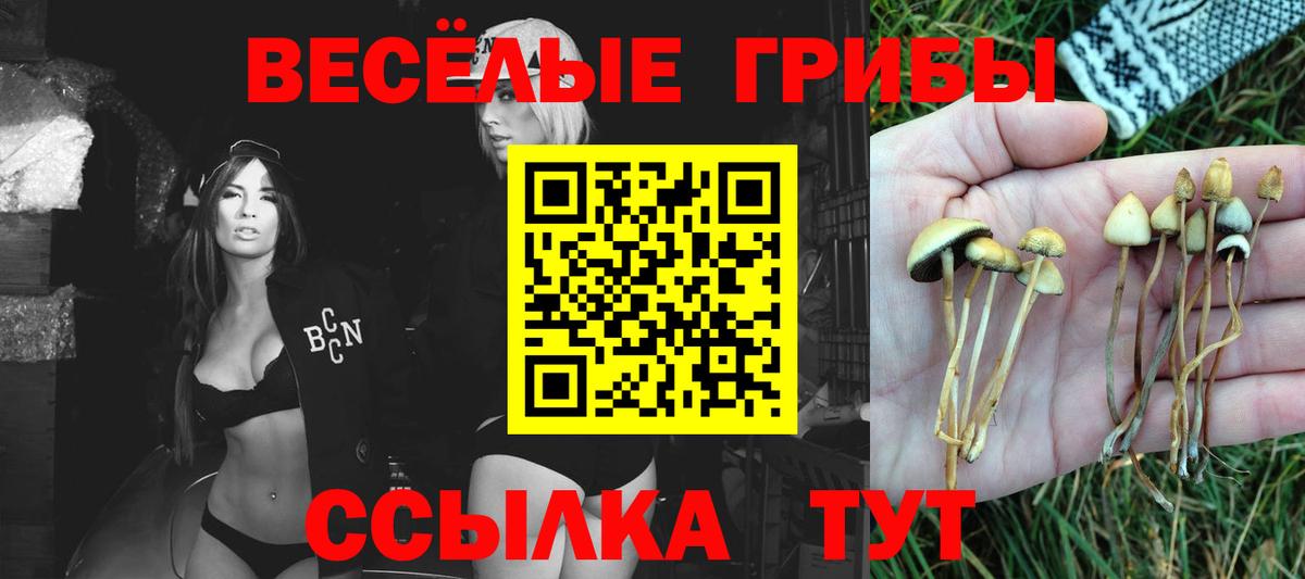 Ялта  Псилоцибиновые грибы GOLDEN TEACHER  Вход с VPN  Псилоцибиновые грибы Cubensis 